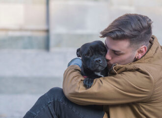 3 Ways Animals Make Us Mentally Stronger