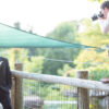 How to Hire a Best Destination Wedding Photographer 2025 Lizard's Lunch How to Hire a Best Destination Wedding Photographer