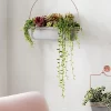 Beautiful Home Decor Plants And Flower Baskets