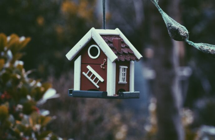 8 Ways to Storm-Proof Your Shed and Keep Your Belongings Safe