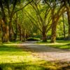 Easy Ways to Use Your Local Park Like a Gym