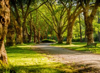 Easy Ways to Use Your Local Park Like a Gym