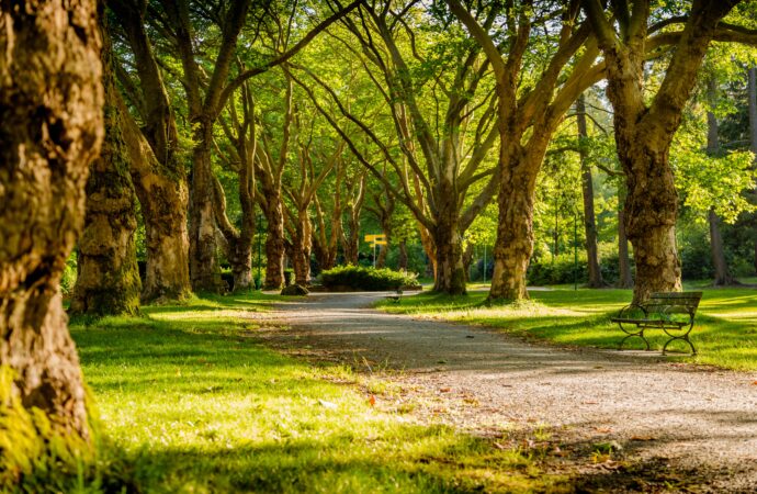 Easy Ways to Use Your Local Park Like a Gym