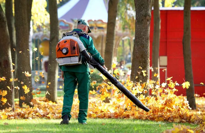 Advantages of Backpack Leaf Blower