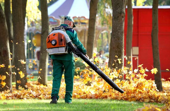 Advantages of Backpack Leaf Blower