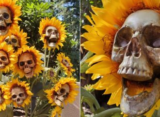 DIY Sunflower Skulls Are The Perfect Freaky Fall Decoration