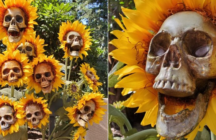 DIY Sunflower Skulls Are The Perfect Freaky Fall Decoration