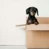Moving Checklist: Don’t Start Moving Process without It