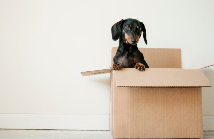 Moving Checklist: Don’t Start Moving Process without It