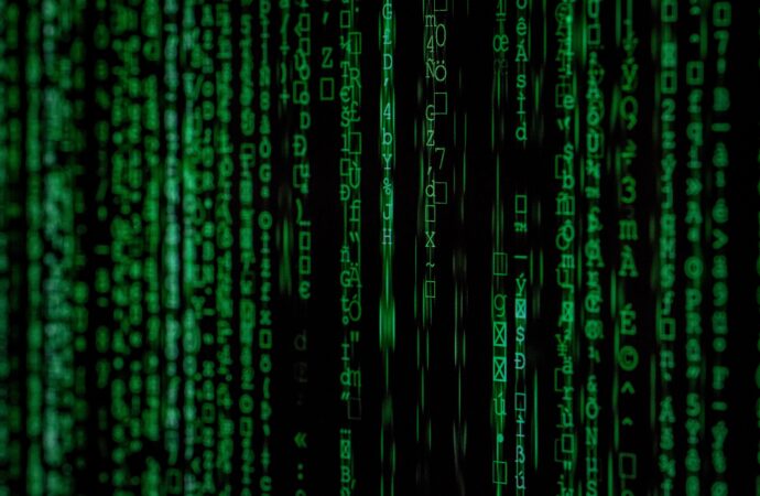 What Is Bot Management and How Bot Managers Work