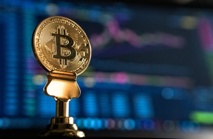 Guide to Choosing the Right Alternative Coins