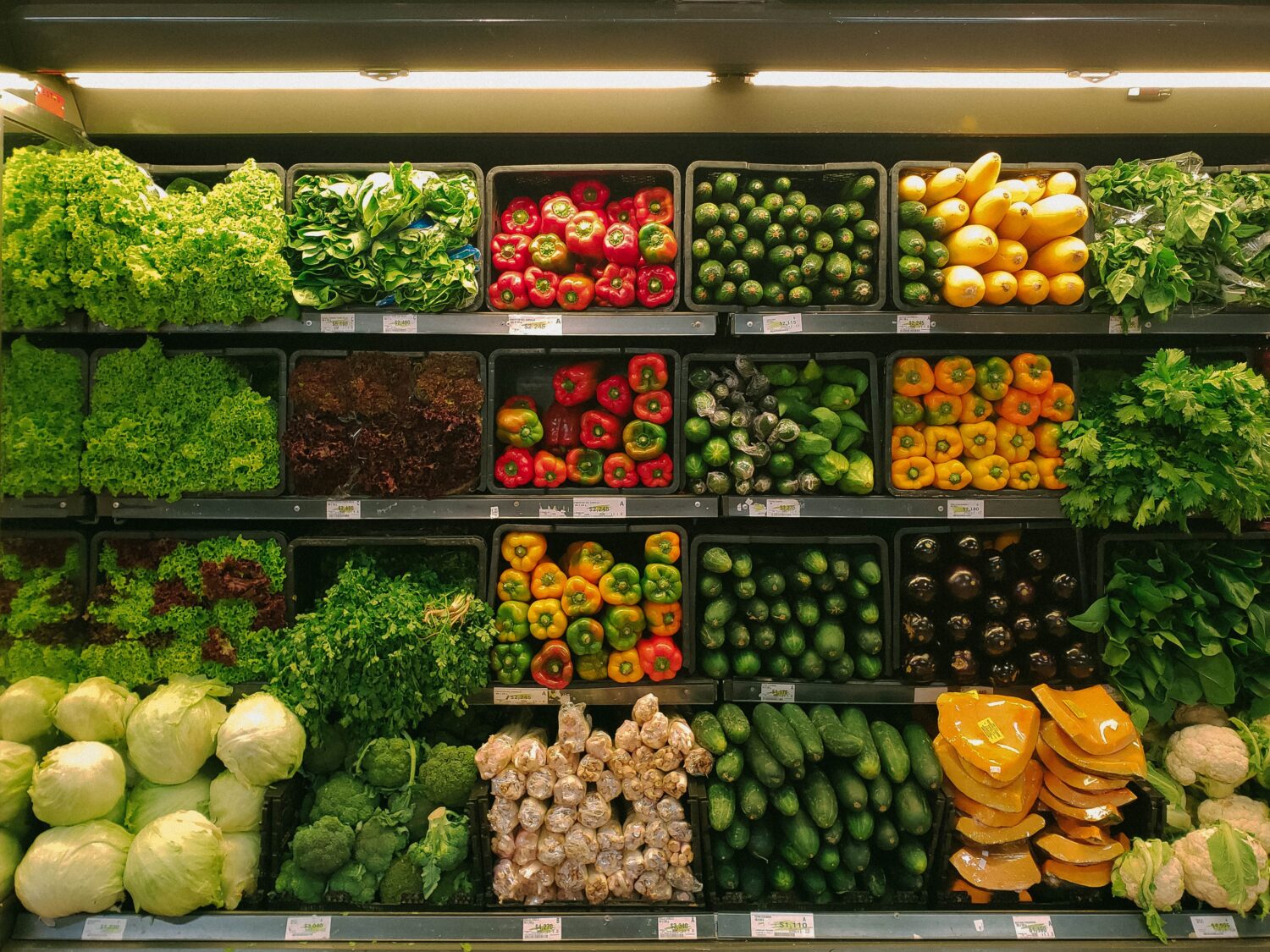 How To Buy Fresh Fruits And Vegetables Online In Stuttgart Lizard's Lunch