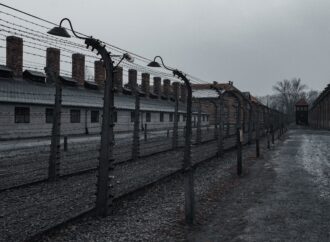 The Best Works of Literature Related to the Holocaust
