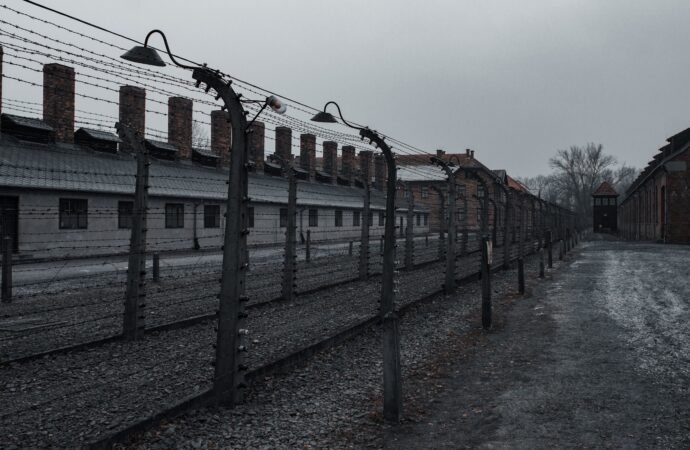 The Best Works of Literature Related to the Holocaust