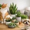 12 Pet Friendly Plants for a Safer Home