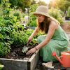 Step by Step Gardening Guide for Beginners 2026 Lizard's Lunch Step by Step Gardening Guide for Beginners