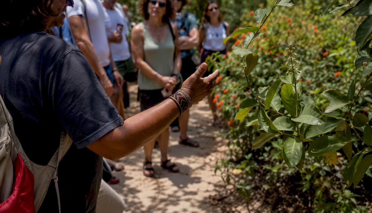Examples of Sustainable Tourism You Can Try Right Now 2026 Lizard's Lunch Local guide pointing on walking tour