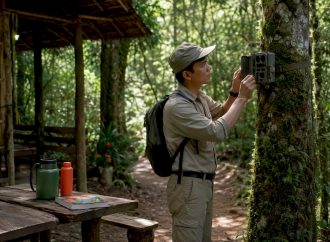 Role of Ecotourism: How Nature Travel Funds Conservation 2026 Lizard's Lunch Role of Ecotourism: How Nature Travel Funds Conservation