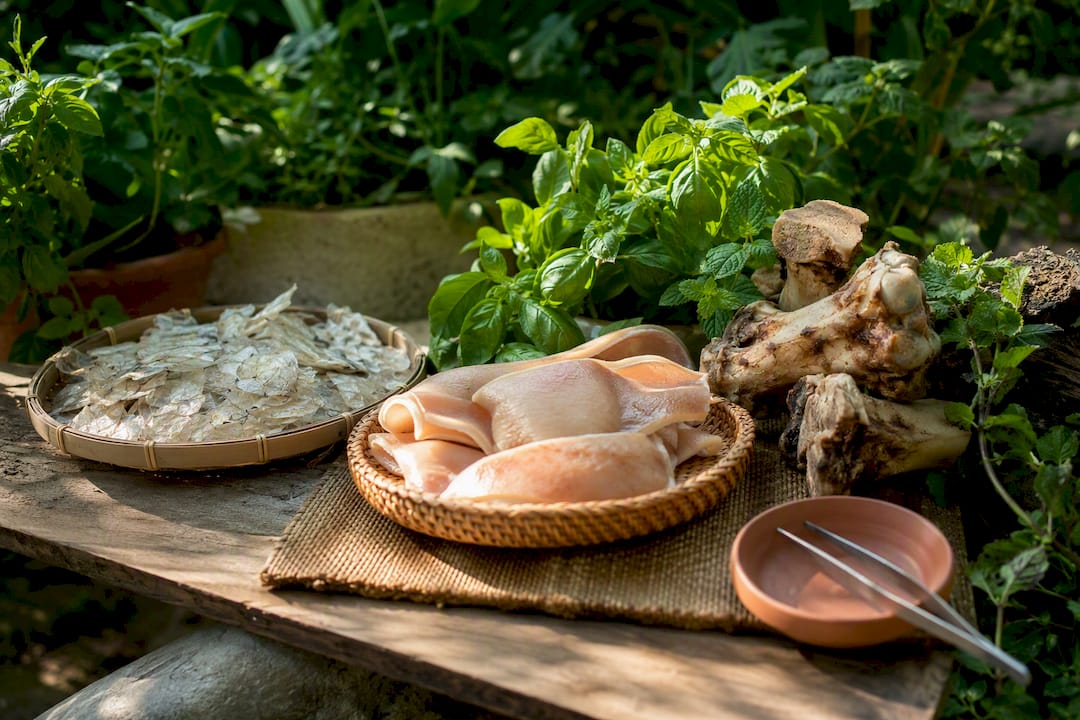 Collagen Supplements Explained: What Actually Works 2026 Lizard's Lunch Natural collagen ingredient sources on wood table