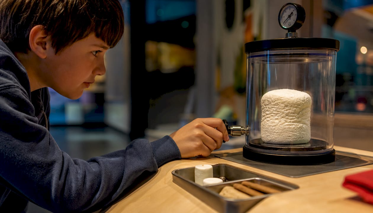 Child watching marshmallow expand in chamber