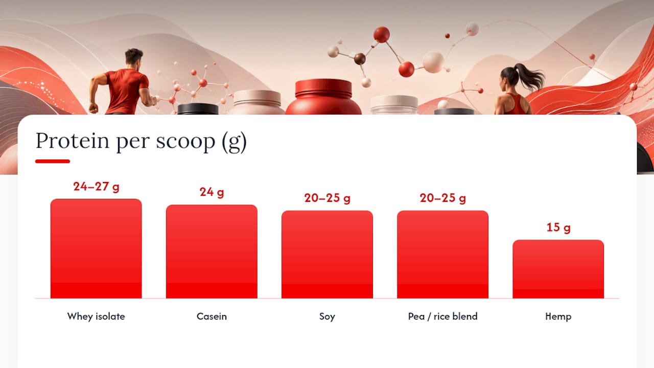 Hit 2.5g Leucine: Protein Powder Types for Faster Recovery 2026 Lizard's Lunch The Main Protein Powder Types, Side by Side — overview diagram