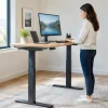 10 Best Standing Desks for Every Home Office