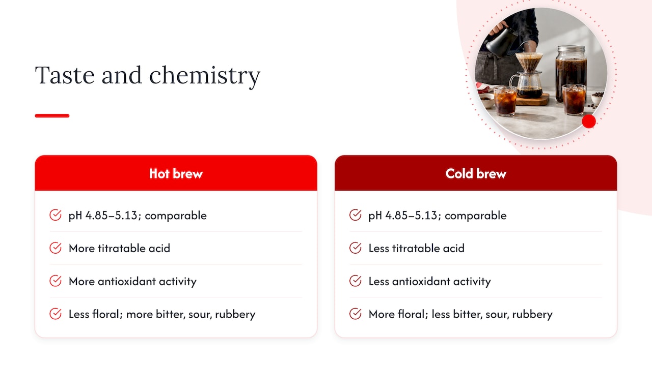 Iced Coffee vs Cold Brew: The Science Behind a 12–24 Hour Steep 2026 Lizard's Lunch Hot and cold brew chemistry comparison
